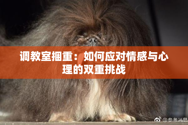调教室捆重：如何应对情感与心理的双重挑战