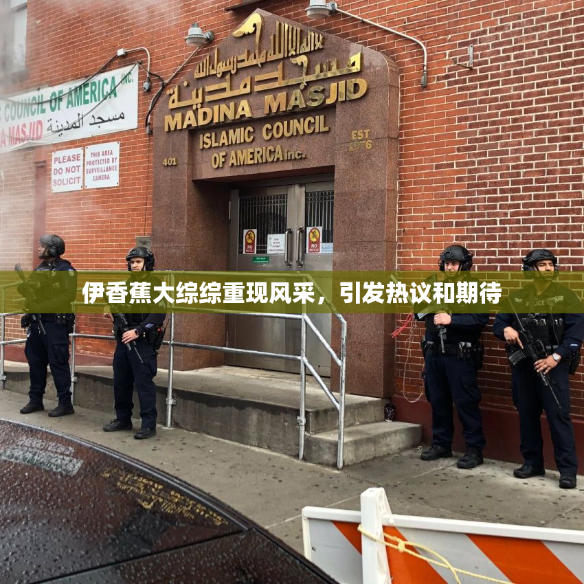 伊香蕉大综综重现风采，引发热议和期待
