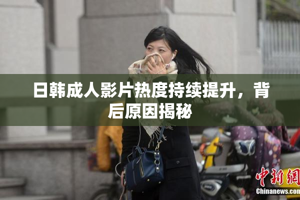日韩成人影片热度持续提升，背后原因揭秘