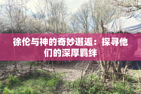 徐伦与神的奇妙邂逅：探寻他们的深厚羁绊