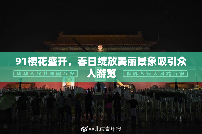 91樱花盛开，春日绽放美丽景象吸引众人游览