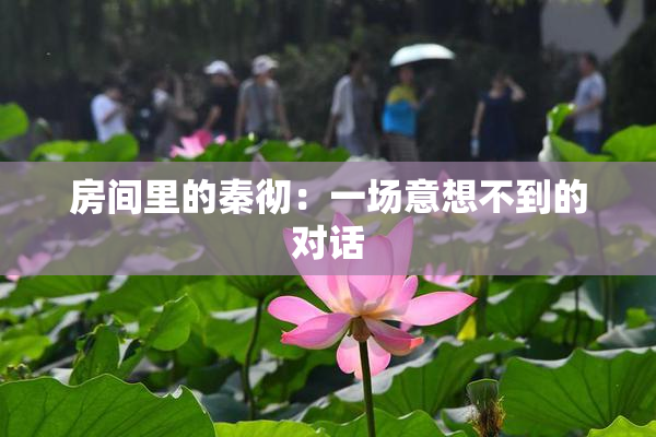 房间里的秦彻：一场意想不到的对话