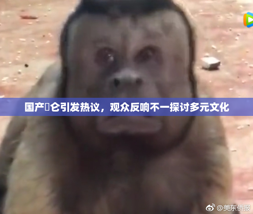 国产婬仑引发热议，观众反响不一探讨多元文化