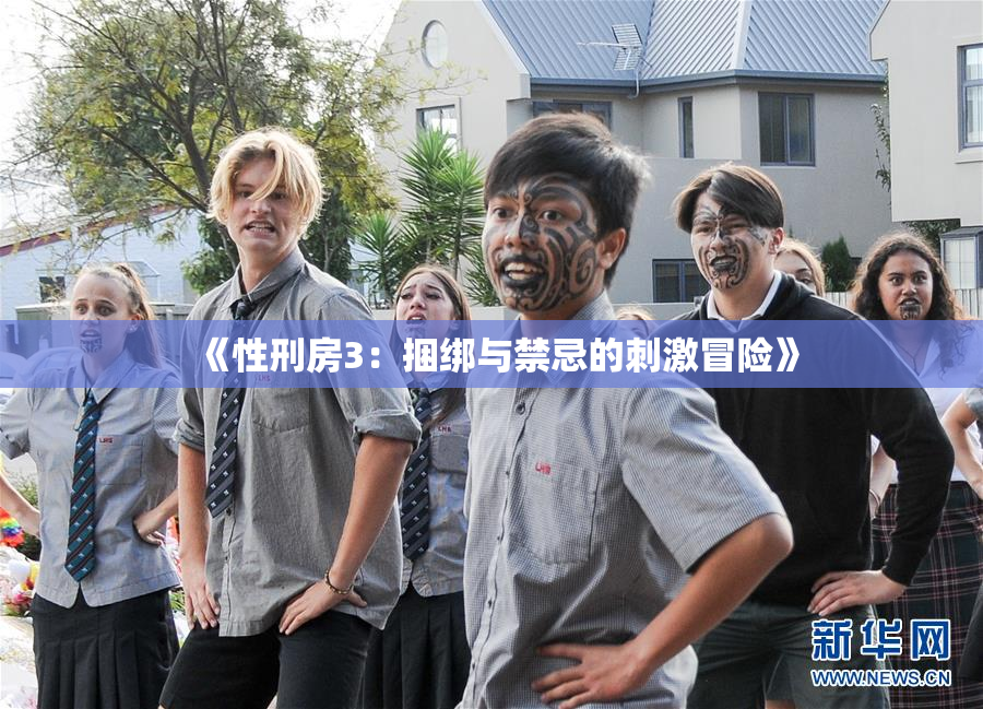 《性刑房3：捆绑与禁忌的刺激冒险》