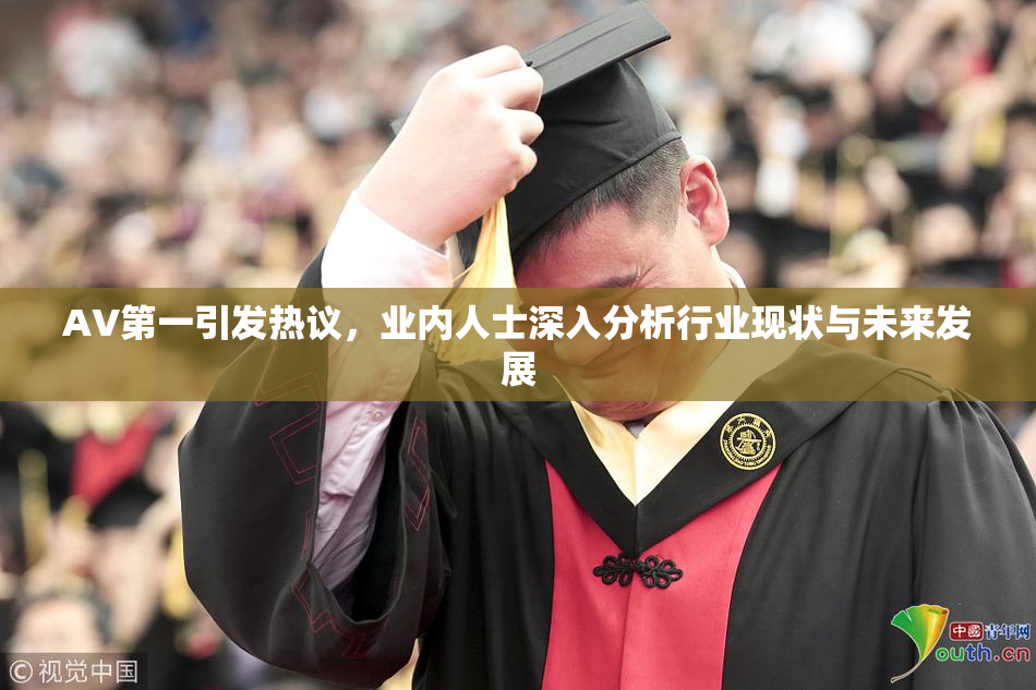 AV第一引发热议，业内人士深入分析行业现状与未来发展