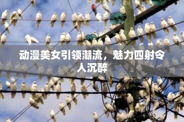 动漫美女引领潮流，魅力四射令人沉醉