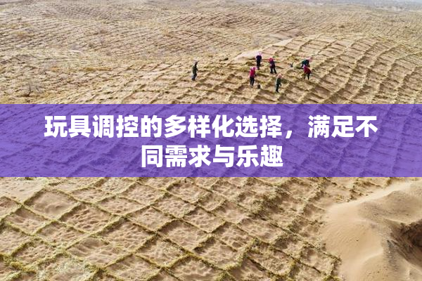 玩具调控的多样化选择，满足不同需求与乐趣