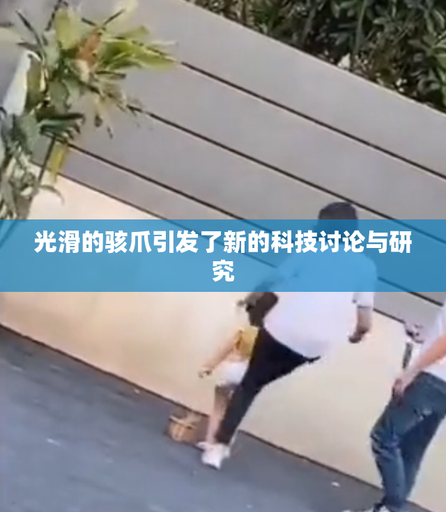 光滑的骇爪引发了新的科技讨论与研究