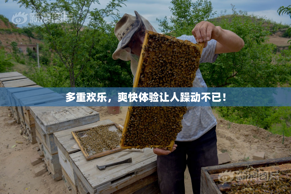 多重欢乐，爽快体验让人躁动不已！