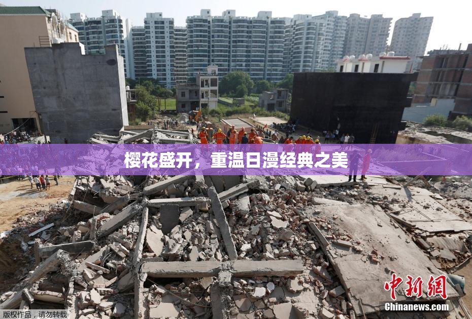 樱花盛开，重温日漫经典之美