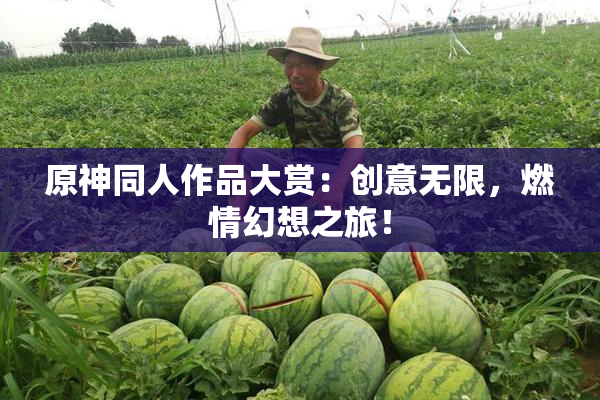 原神同人作品大赏：创意无限，燃情幻想之旅！