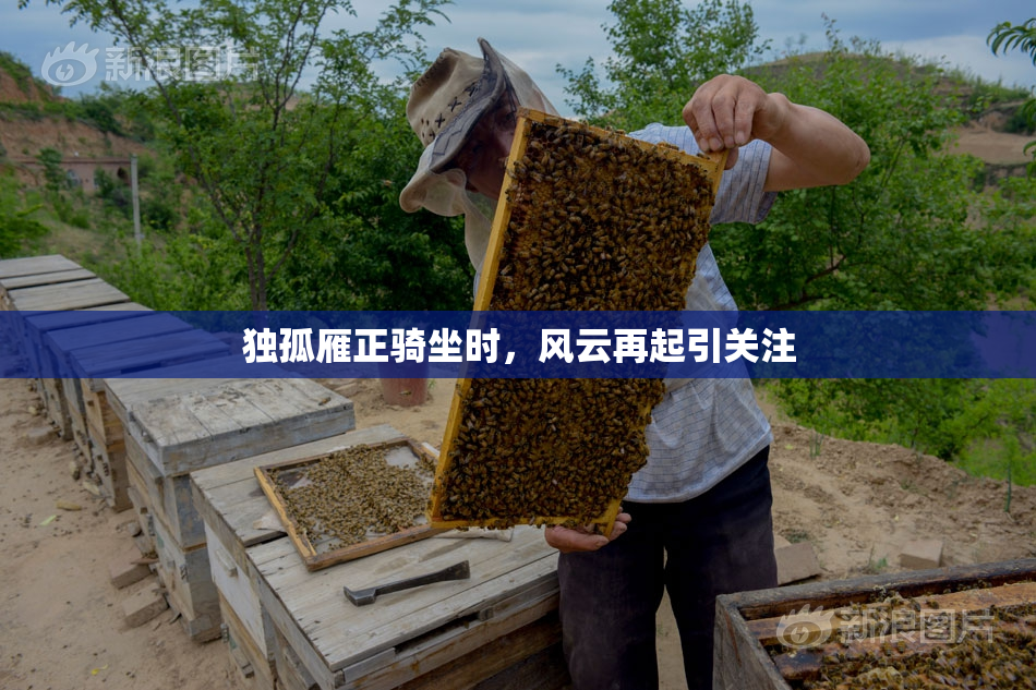 独孤雁正骑坐时，风云再起引关注