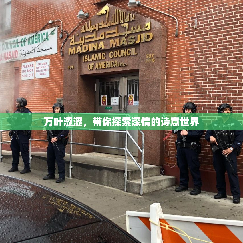 万叶涩涩，带你探索深情的诗意世界