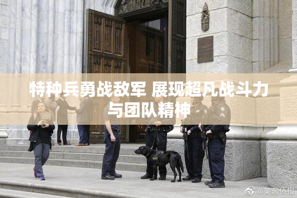 特种兵勇战敌军 展现超凡战斗力与团队精神