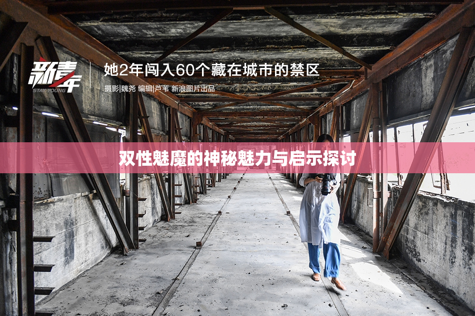 双性魅魔的神秘魅力与启示探讨