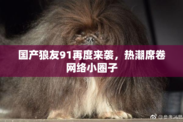 国产狼友91再度来袭，热潮席卷网络小圈子