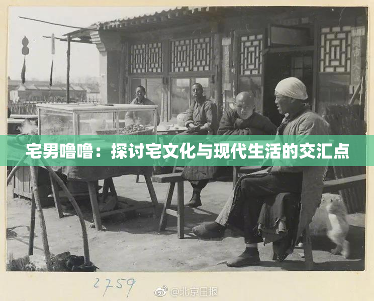 宅男噜噜：探讨宅文化与现代生活的交汇点