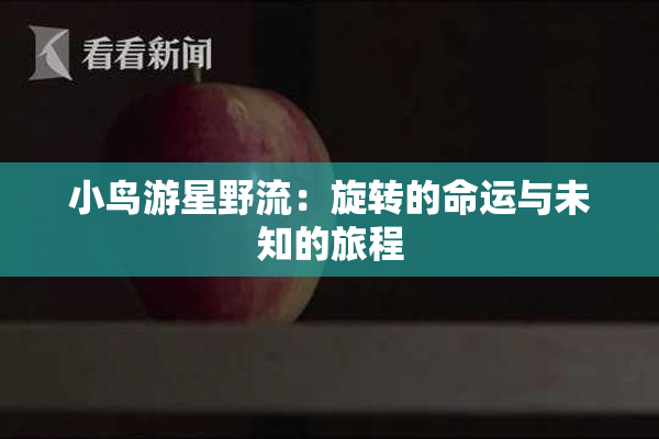 小鸟游星野流：旋转的命运与未知的旅程