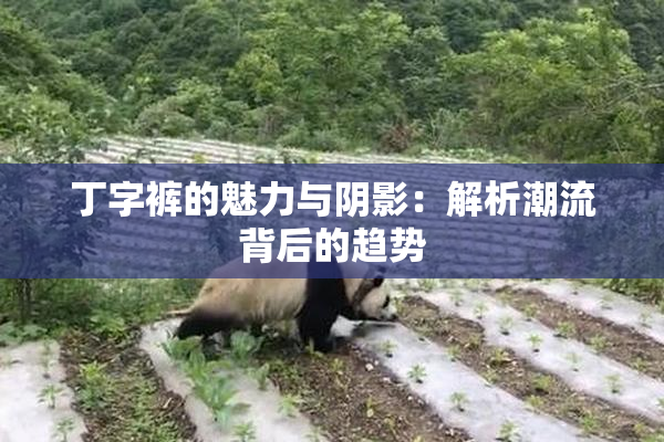 丁字裤的魅力与阴影：解析潮流背后的趋势