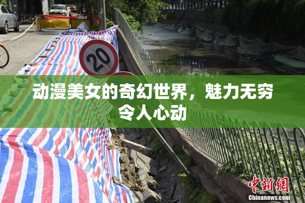 动漫美女的奇幻世界，魅力无穷令人心动