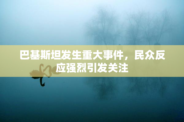 巴基斯坦发生重大事件，民众反应强烈引发关注