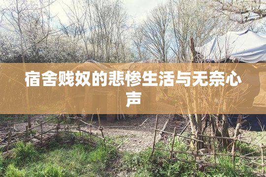 宿舍贱奴的悲惨生活与无奈心声