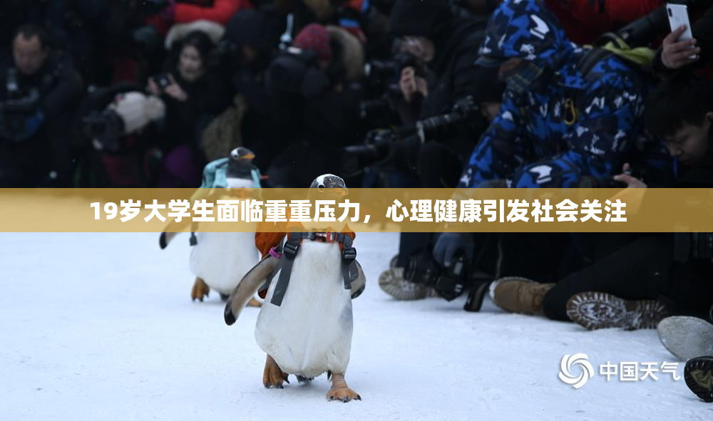 19岁大学生面临重重压力，心理健康引发社会关注