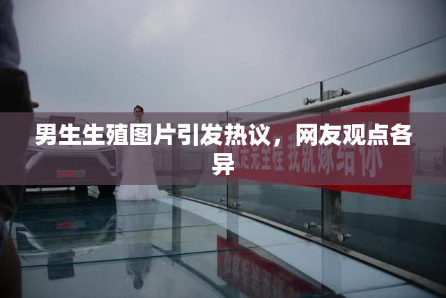 男生生殖图片引发热议，网友观点各异