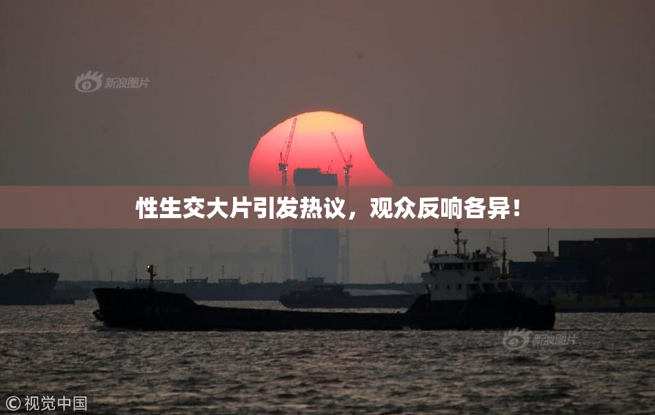 性生交大片引发热议，观众反响各异！