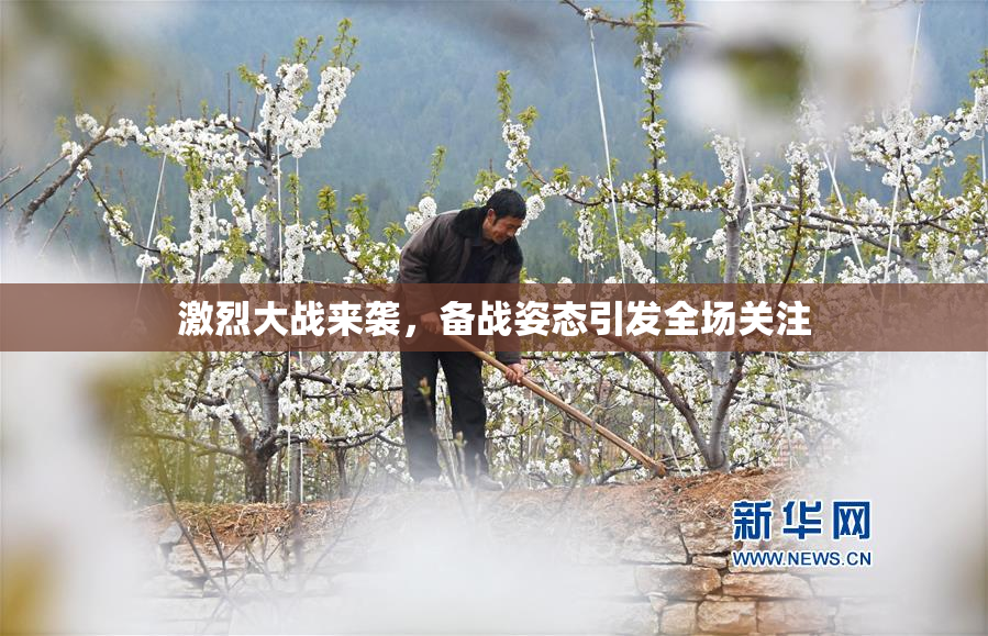 激烈大战来袭，备战姿态引发全场关注
