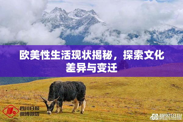 欧美性生活现状揭秘，探索文化差异与变迁