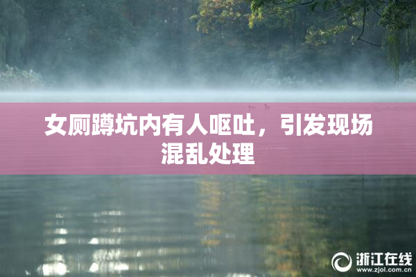 女厕蹲坑内有人呕吐，引发现场混乱处理