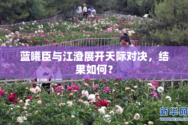 蓝曦臣与江澄展开天际对决，结果如何？