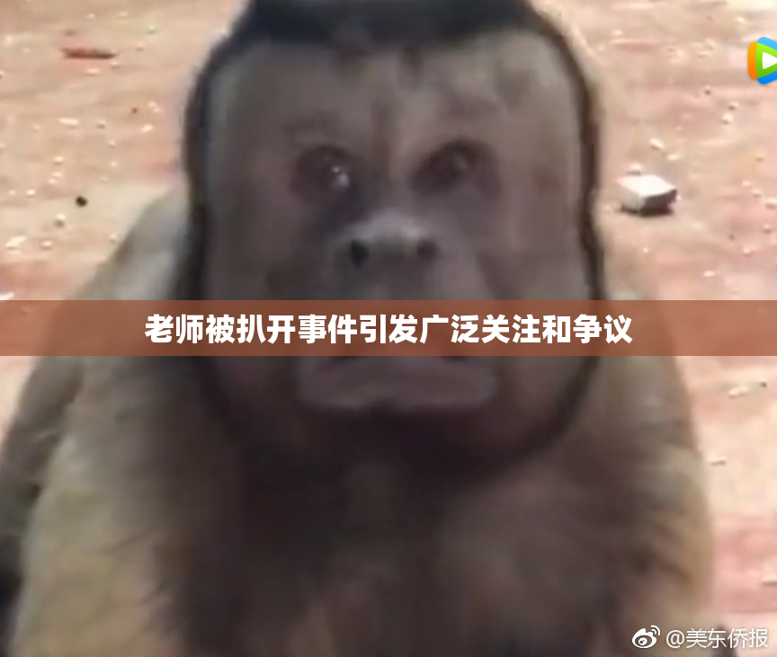 老师被扒开事件引发广泛关注和争议