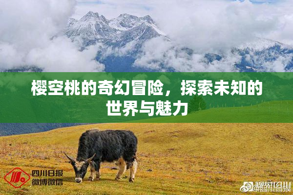 樱空桃的奇幻冒险，探索未知的世界与魅力