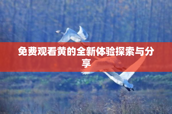 免费观看黄的全新体验探索与分享