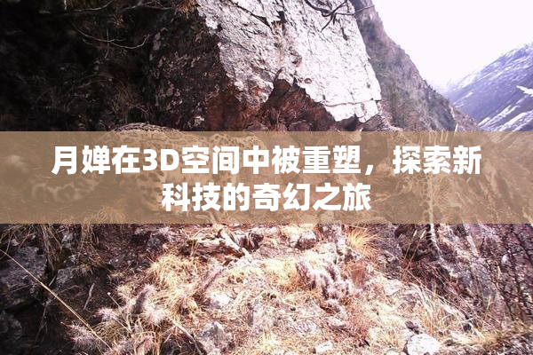 月婵在3D空间中被重塑，探索新科技的奇幻之旅