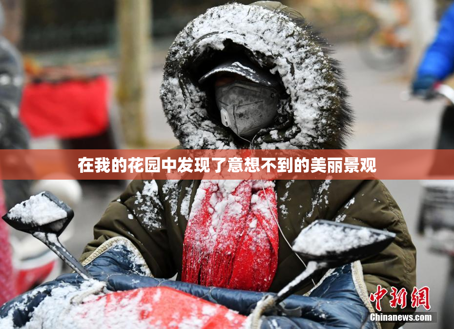 在我的花园中发现了意想不到的美丽景观