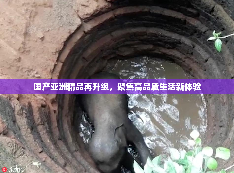 国产亚洲精品再升级，聚焦高品质生活新体验