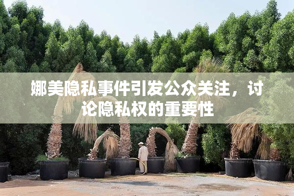 娜美隐私事件引发公众关注，讨论隐私权的重要性
