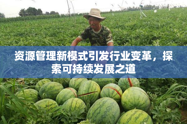 资源管理新模式引发行业变革，探索可持续发展之道