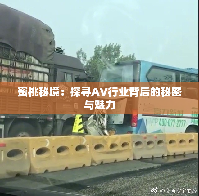 蜜桃秘境：探寻AV行业背后的秘密与魅力