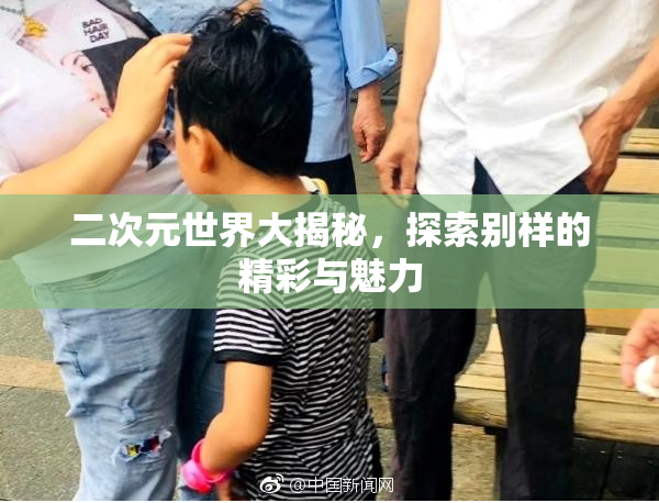 二次元世界大揭秘，探索别样的精彩与魅力