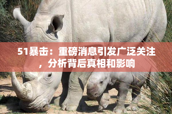 51暴击：重磅消息引发广泛关注，分析背后真相和影响