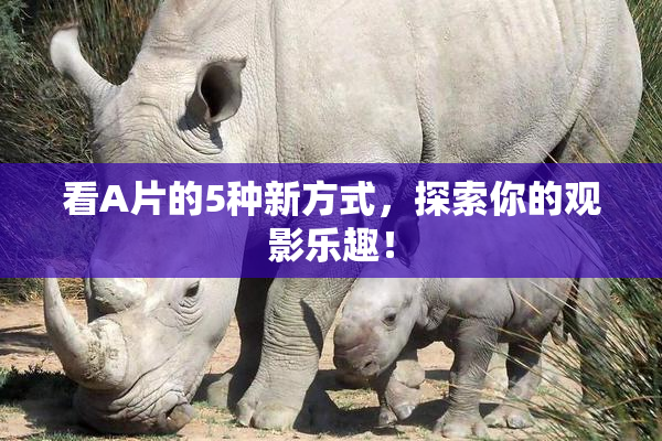 看A片的5种新方式，探索你的观影乐趣！