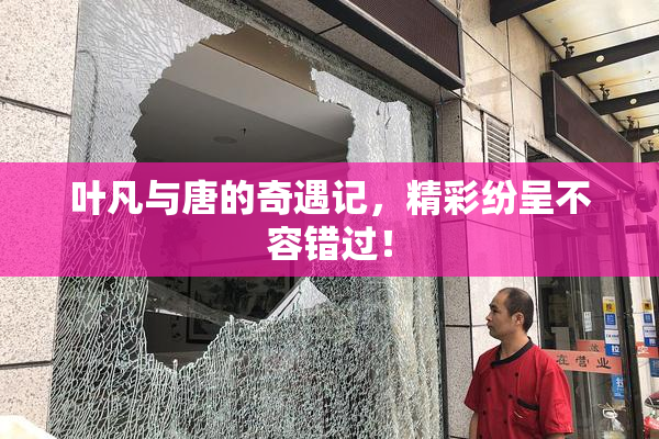 叶凡与唐的奇遇记，精彩纷呈不容错过！