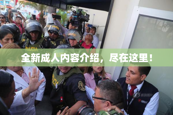 全新成人内容介绍，尽在这里！