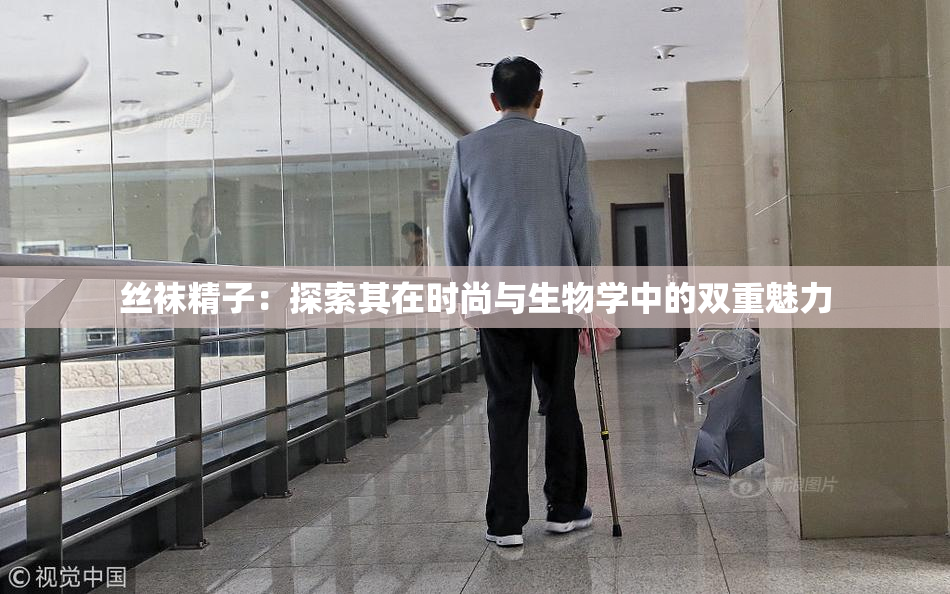 丝袜精子：探索其在时尚与生物学中的双重魅力