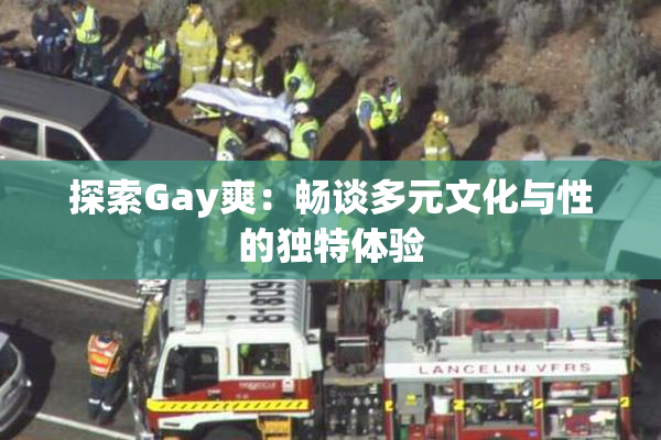 探索Gay爽：畅谈多元文化与性的独特体验