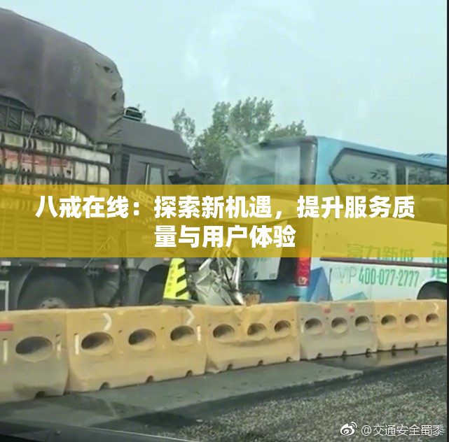 八戒在线：探索新机遇，提升服务质量与用户体验